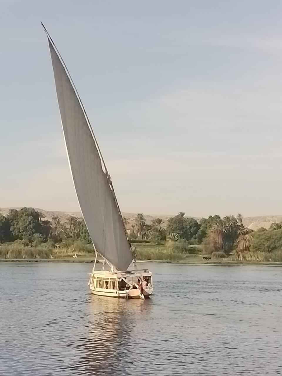 Nile Felucca Adventure Hotel Aswan Eksteriør billede